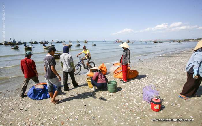Fishermen collecting fresh fish