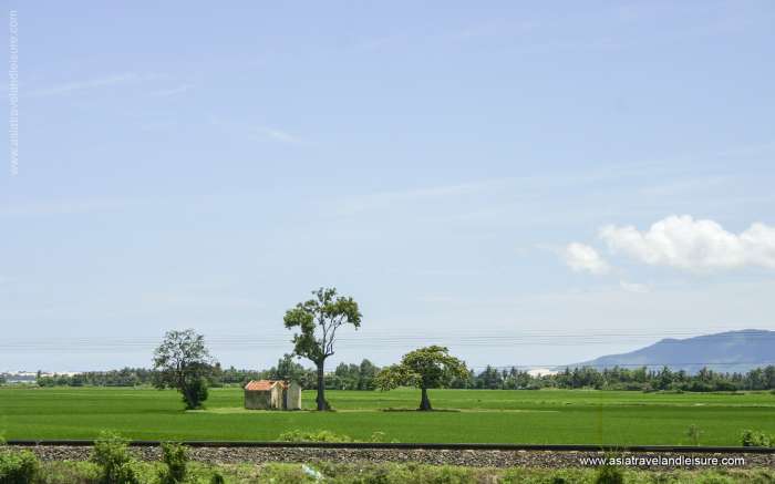 Lonely home in the middle of green rice field under vast blue sky