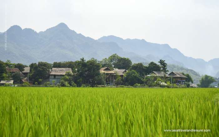 Peaceful Mai Chau villages on the rice fields side