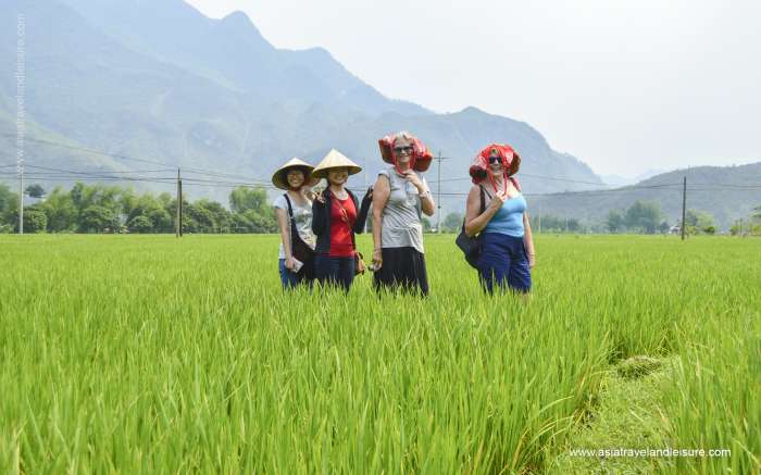 Immerse nature by walking through rice fields and villages in Mai Chau