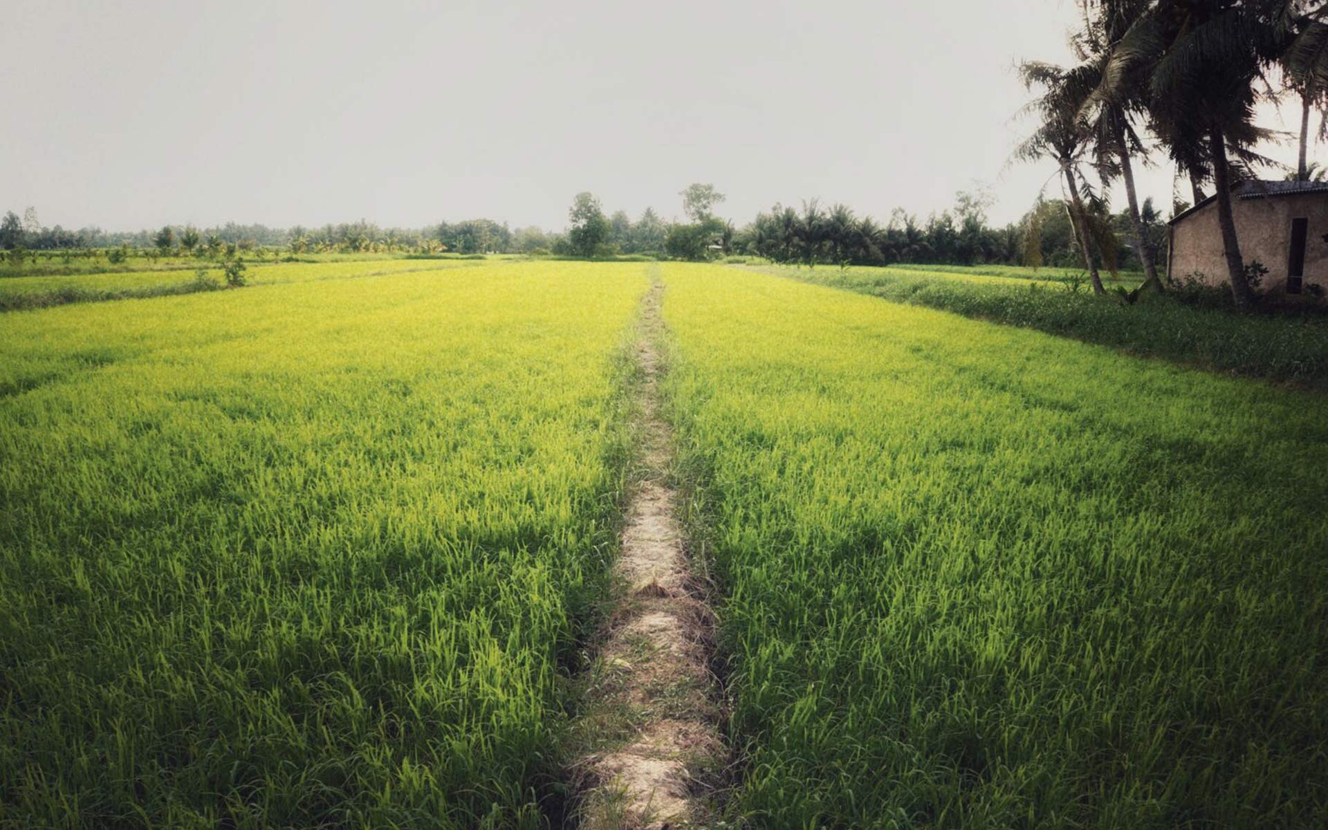 VietNam Vietnamtour 5 b6dcd