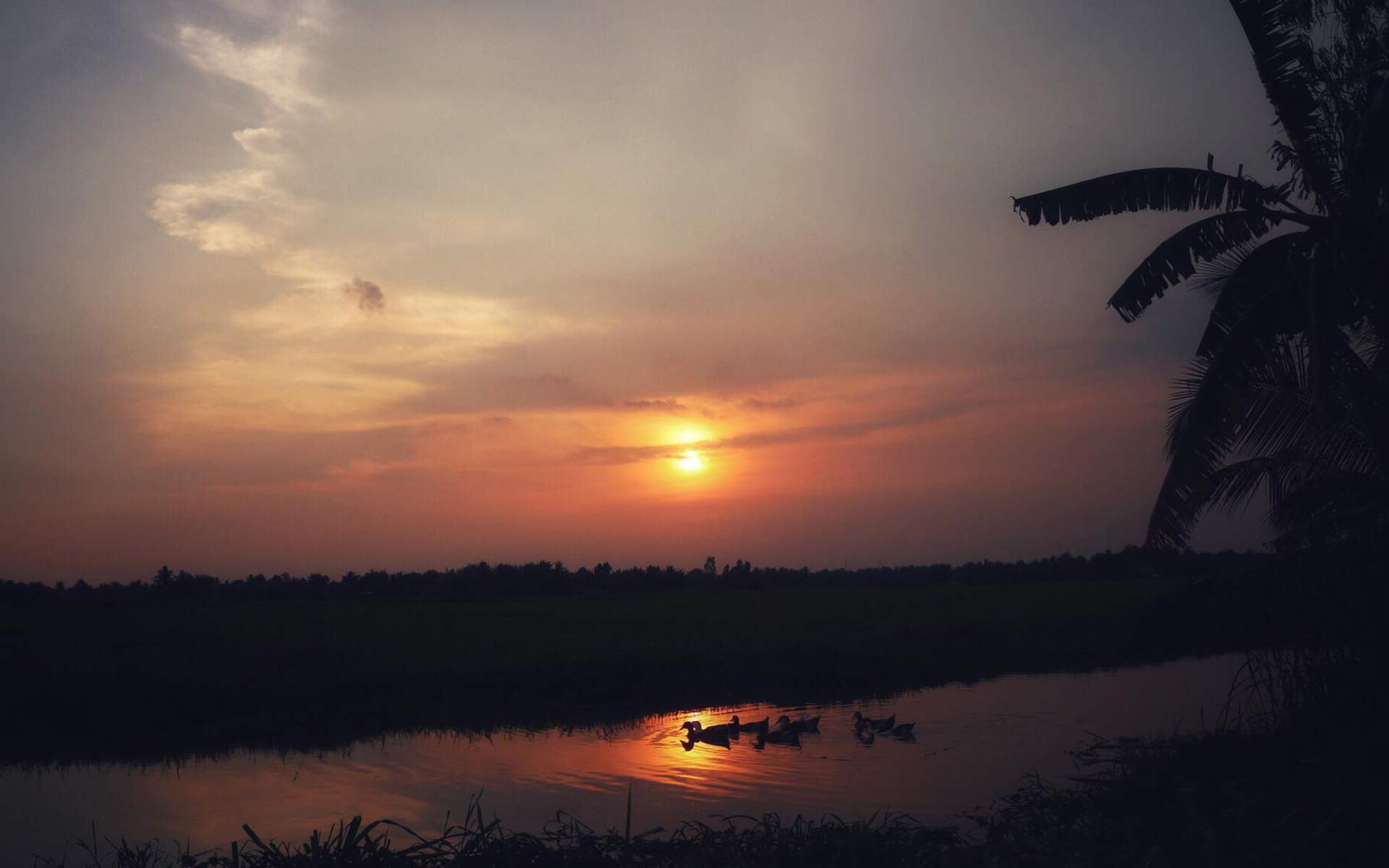 VietNam Vietnamtour 7 d1076