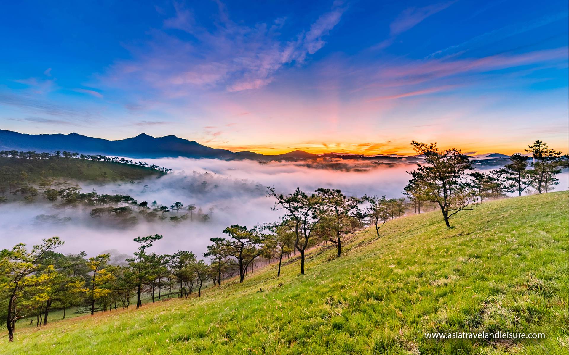 Beautiful hill in Dalat