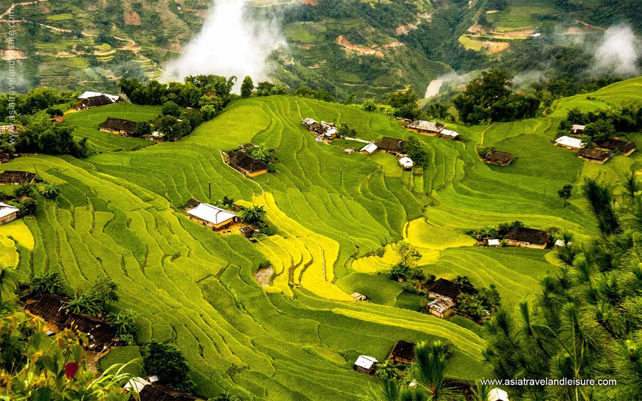 Hoang Su Phi terraced rice field 1 9833c