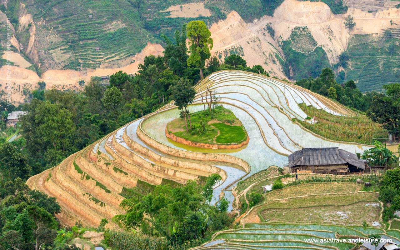 Hoang Su Phi terraced rice field 2 9002d