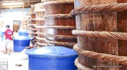 Fish Sauce Factory in Phu Quoc Island