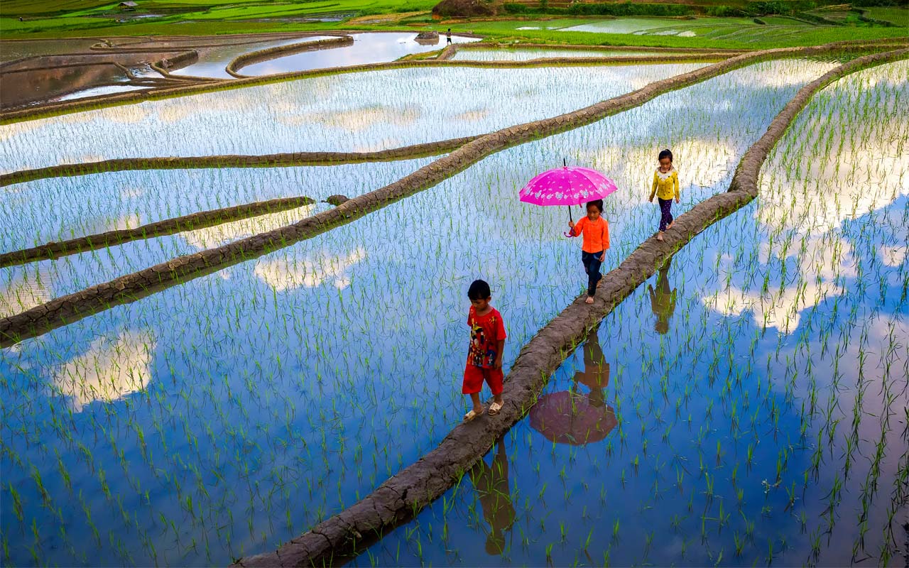 Mu Cang Chai 1 68f8b