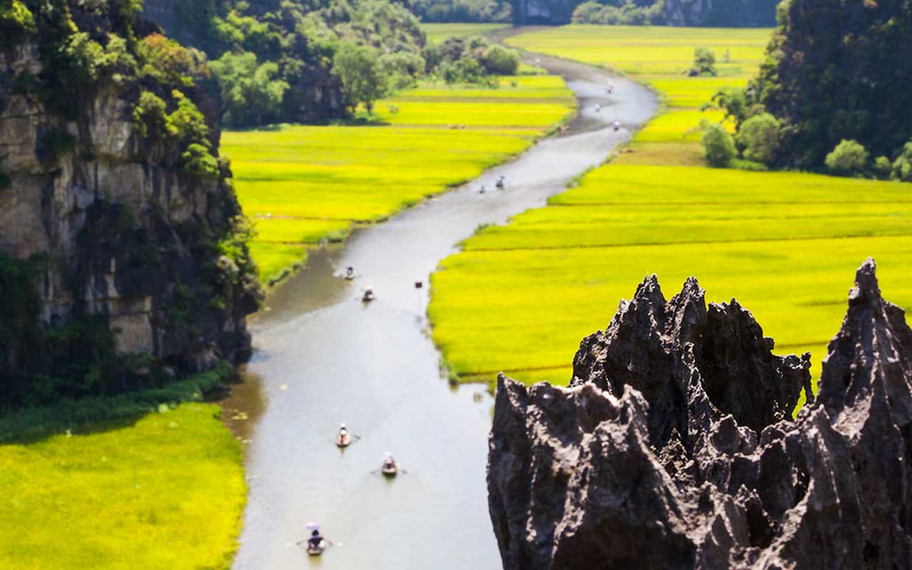 Pictures of mountains and rivers of Tam Coc Ninh Binh in the ripe rice season