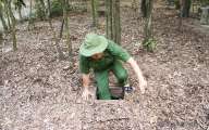 A trap door on the jungle floor leads down into the Cu Chi tunnels