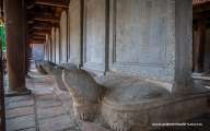 Turtle Steles in Temple of Literature
