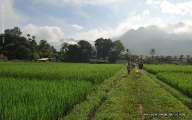 Trek through terraced rice paddies and small villages