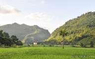 Natural beauty of the valley
