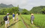 Funny walking through rice fields