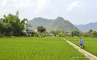Entrance to the villages crossing the tranquil rice fields
