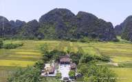 The paronamic view of Tam Coc in the golden rice season
