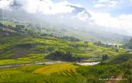 Terraced rice fields – a beauty of Sapa