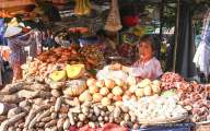 Vietnamese fruits stall in local market