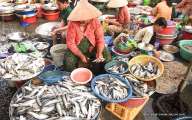 Fish market – a familiar scene in Mekong