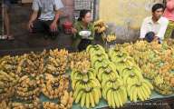 Banana stalls on the street 