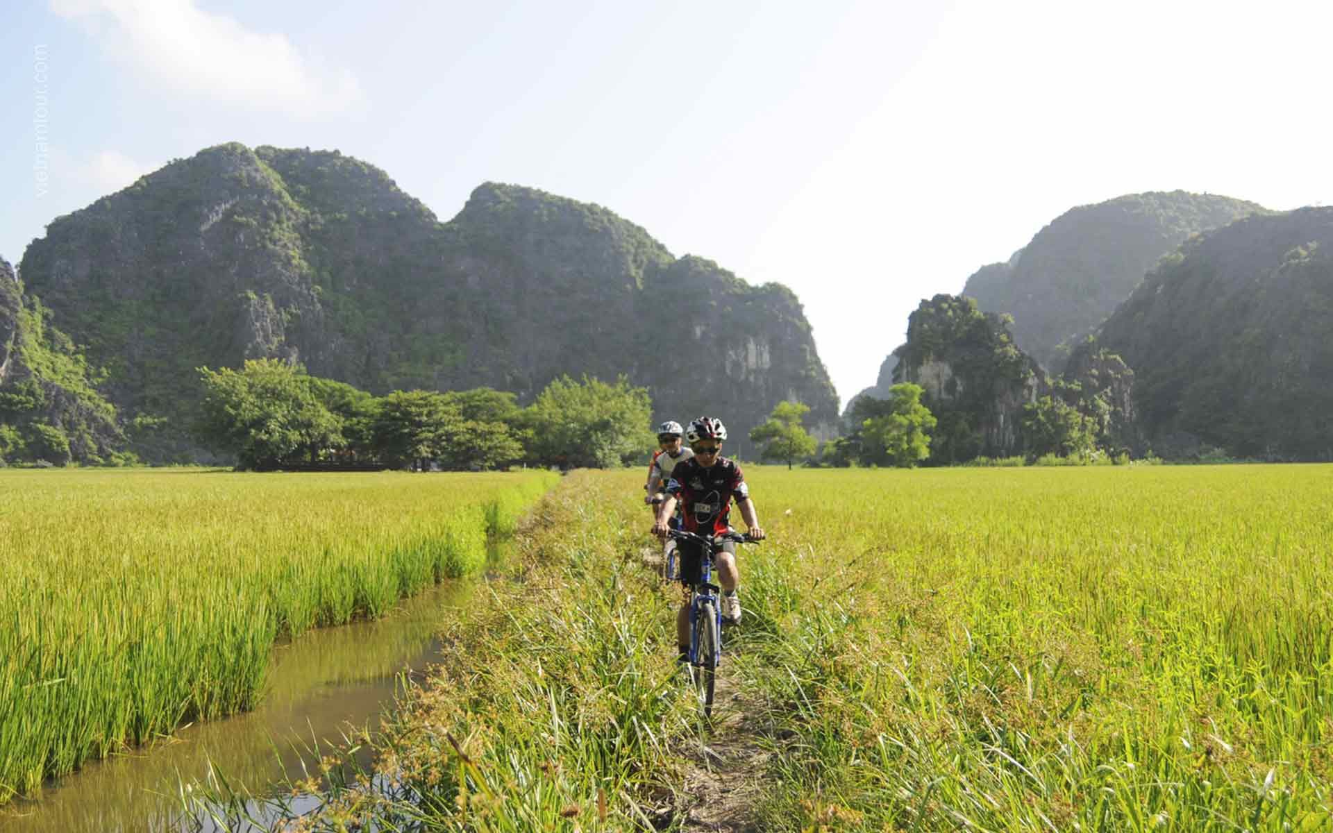 Biking in Ninh Binh